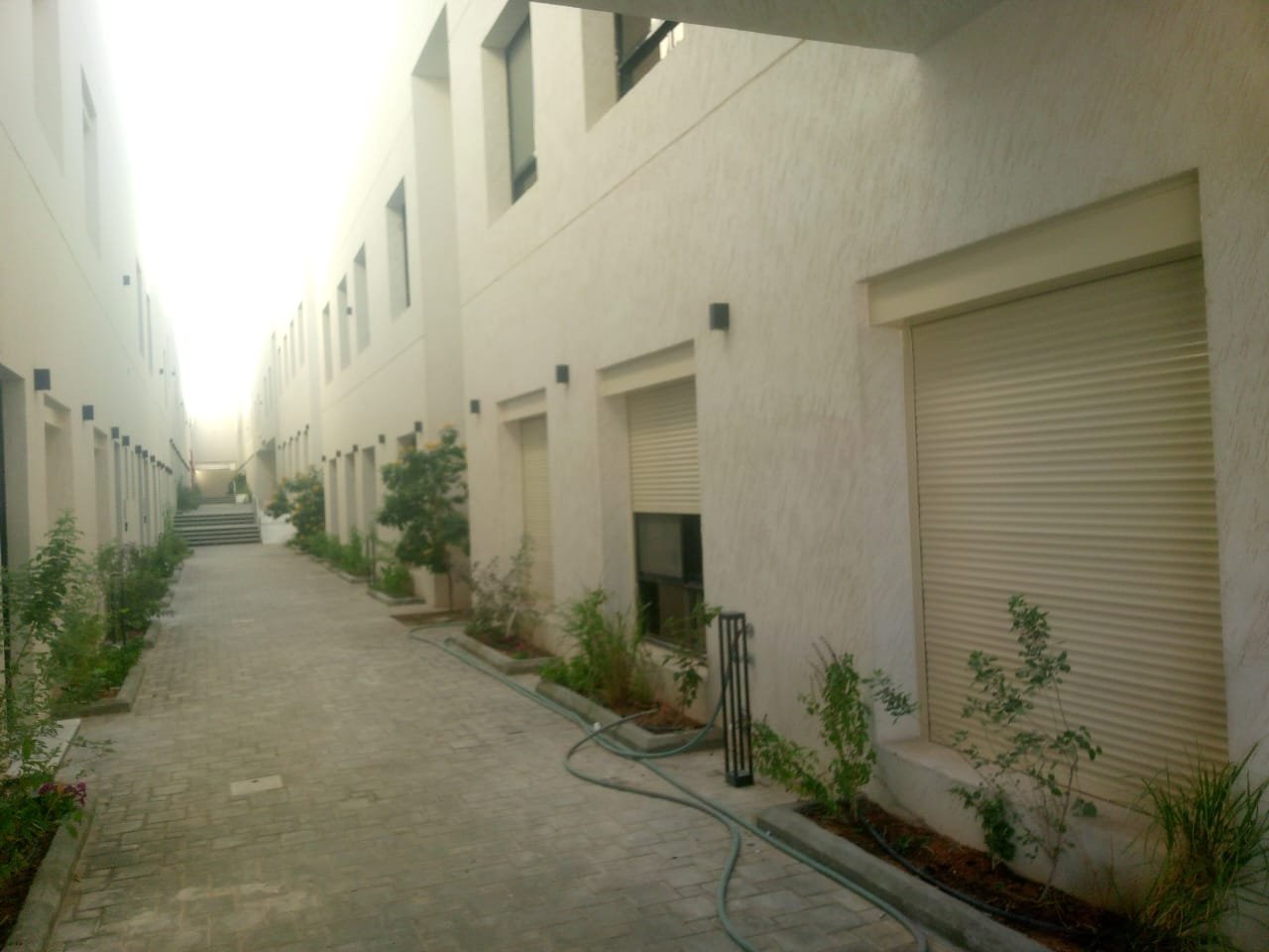 WhatsApp Image 2024-03-06 at 3.30.56 PM (2)